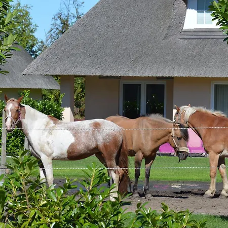 Daire Tenne 4, Inkl 1 Parkplatz *